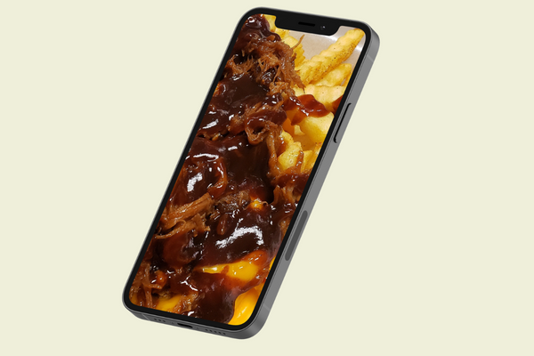 Pulled Pork Fries